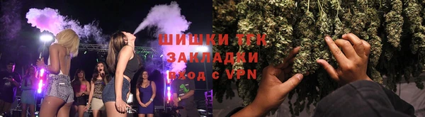 PSILOCYBIN Белокуриха