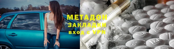 PSILOCYBIN Белокуриха