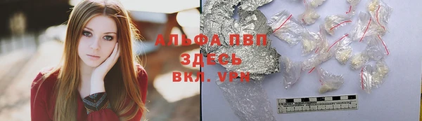 PSILOCYBIN Белокуриха