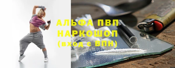 PSILOCYBIN Белокуриха