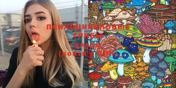 PSILOCYBIN Белокуриха