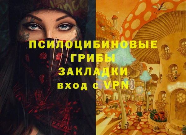 PSILOCYBIN Белокуриха