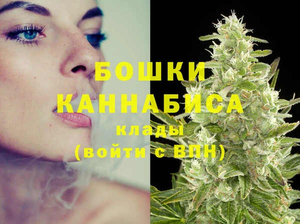 PSILOCYBIN Белокуриха