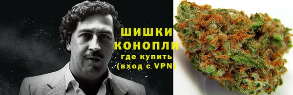 PSILOCYBIN Белокуриха